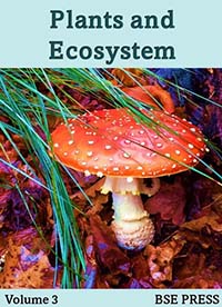 Plants and Ecosystem